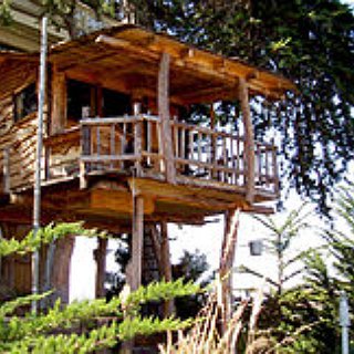 BucketList + Stay At A Treehouse Resort