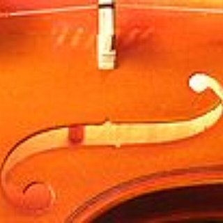 BucketList + Learn To Play The Violin