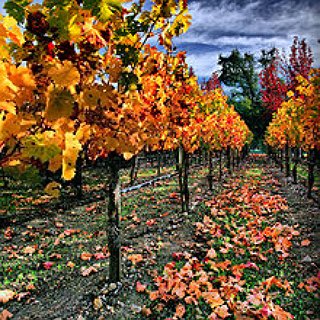 BucketList + See The Northeast In The Fall