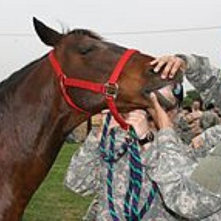 BucketList + Horse Back Riding 