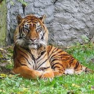 BucketList + Volunteer To Help Animals And/ Or People For At Least A Week