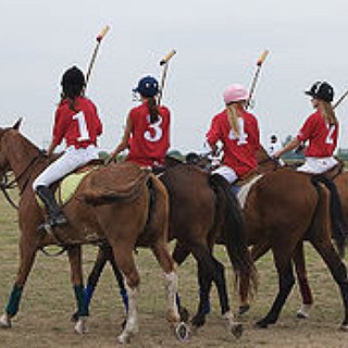 BucketList + Go For Horse Riding Classes 