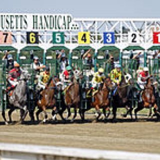 BucketList + Bet On A Horse At The Races