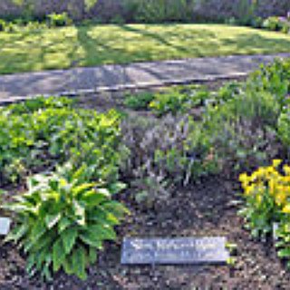 BucketList + Grow My Own Garden 