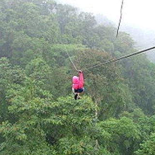 BucketList + Go On A Fast Zip Line In The Jungle