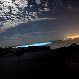 BucketList + Visit Bioluminescent Bay