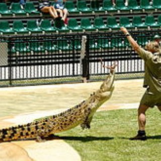 BucketList + Go To Steve Irwin's Zoo
