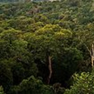 BucketList + Go On An Expedition Trough Amazonas Rainforest