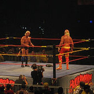 BucketList + Watch A Live Wrestling Show