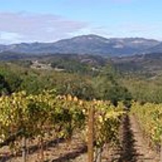 BucketList + Travel To The California Wine Country.