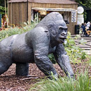 BucketList + Go To London Zoo