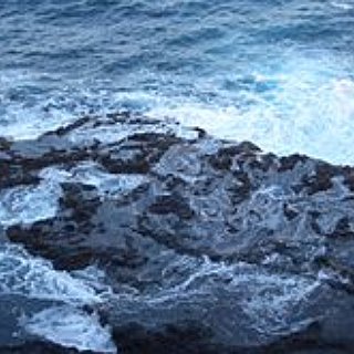 BucketList + Take Luke & Alana To Phillip Island