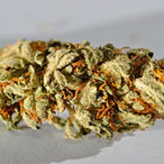 BucketList + Get High With Christian