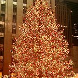 BucketList + Spend Christmas Together