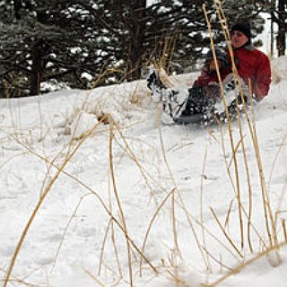 BucketList + Go Sledding In Oslo