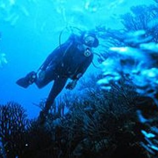 BucketList + Take Up A New Sport/Scuba Diving