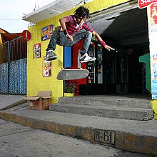 BucketList + Become A Professional Skateboarder 