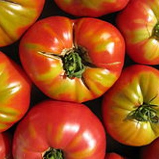 BucketList + Participate In The Giant Tomatoe Fight In Spain