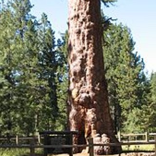 BucketList + Visit Oregon