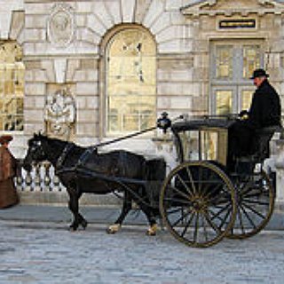 BucketList + Go On A Carriage Horse Ride In Downtown Chicago