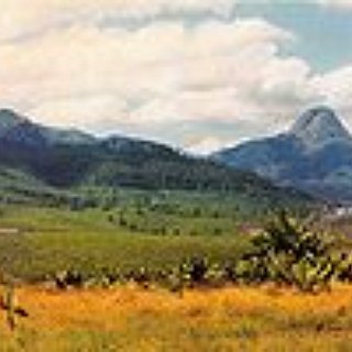 BucketList + Own A Large Piece Of Property