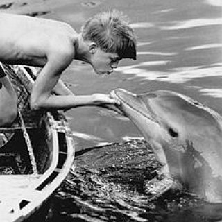 BucketList + Go Swim With Dolphins ^0^