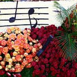 BucketList + Go To The Tournament Of Roses Parade