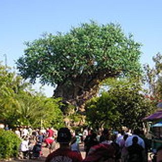 BucketList + Visit Disney World With My Family