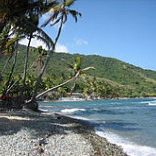 BucketList + Visit Bioluminescent Bay In Vieques Puerto Rico