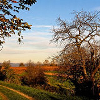 BucketList + Before I Kick The Bucket I Want To Have My Own Piece Of Land To Build My House On.