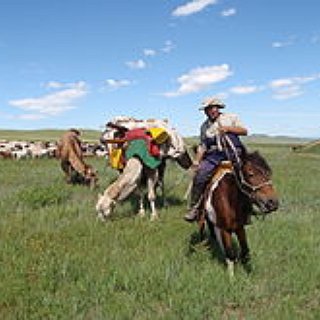 BucketList + Travel Mongolia - Stay In A Ger And Ride The Horses