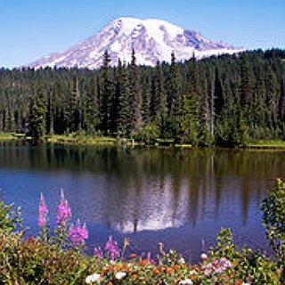 BucketList + Go To A Concert At The Gorge Amphitheatre In George, Washington