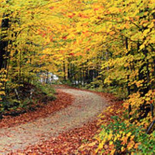 BucketList + Drive Through New England In The Fall