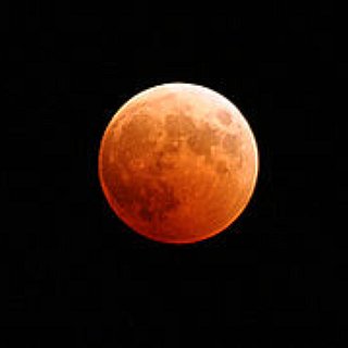 BucketList + Walk When The Moon Is Full For A Year