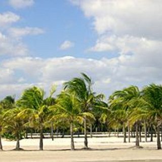BucketList + Florida