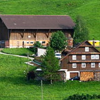 BucketList + Live On A Farm In The Countryside.