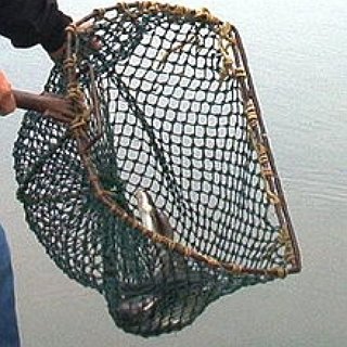 BucketList + Learn To Fly Fish (Well)