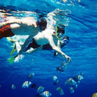 BucketList + Go Snorkeling With Friends  
