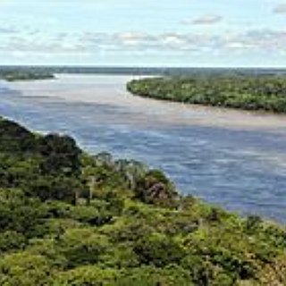 BucketList + Amazon Rain Forest 