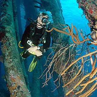 BucketList + Get Certified In Scuba Diving And Dive In The Keys