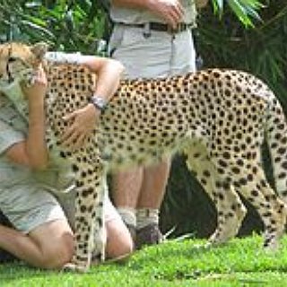 BucketList + Be A Zoo Keeper For A Day