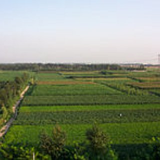 BucketList + Go To The Farm