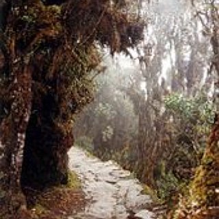 BucketList + Complete Inca Trail