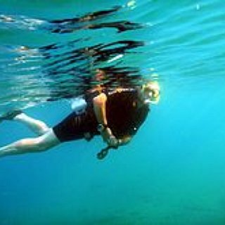BucketList + Snorkeling And Skydiving !