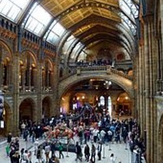 BucketList + Visit The American Museum Of Natural History
