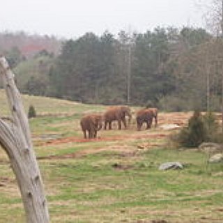 BucketList + Go To The Tug-Of-War Zoo