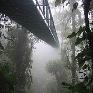 BucketList + Walk Borneo Rainforest Canopy Walkway