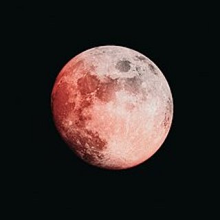BucketList + Swim Beneath A Full Moon