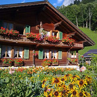 BucketList + Spend Christmas In A Chalet Witb Snow Sorrounded 