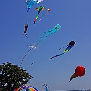 BucketList + Kite Festival (Berck)